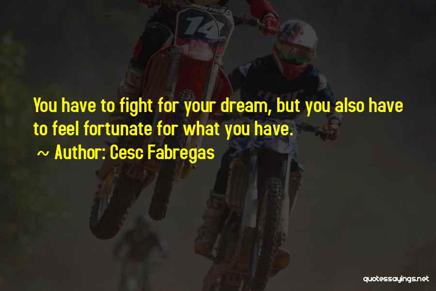 Cesc Fabregas Quotes: You Have To Fight For Your Dream, But You Also Have To Feel Fortunate For What You Have.