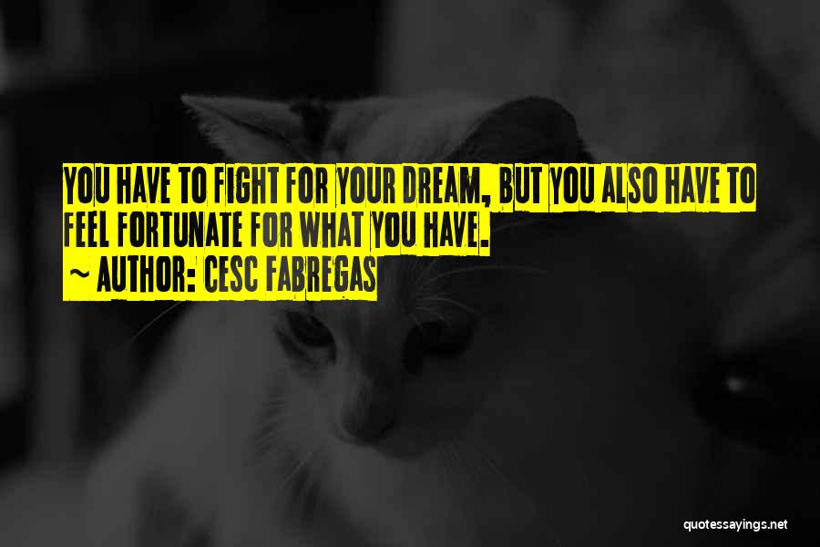 Cesc Fabregas Quotes: You Have To Fight For Your Dream, But You Also Have To Feel Fortunate For What You Have.