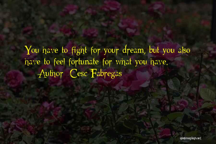 Cesc Fabregas Quotes: You Have To Fight For Your Dream, But You Also Have To Feel Fortunate For What You Have.
