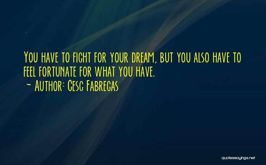 Cesc Fabregas Quotes: You Have To Fight For Your Dream, But You Also Have To Feel Fortunate For What You Have.