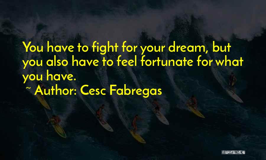 Cesc Fabregas Quotes: You Have To Fight For Your Dream, But You Also Have To Feel Fortunate For What You Have.
