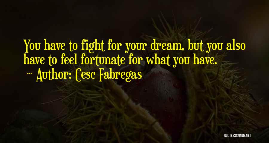 Cesc Fabregas Quotes: You Have To Fight For Your Dream, But You Also Have To Feel Fortunate For What You Have.