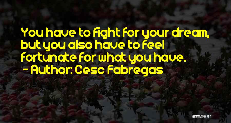 Cesc Fabregas Quotes: You Have To Fight For Your Dream, But You Also Have To Feel Fortunate For What You Have.