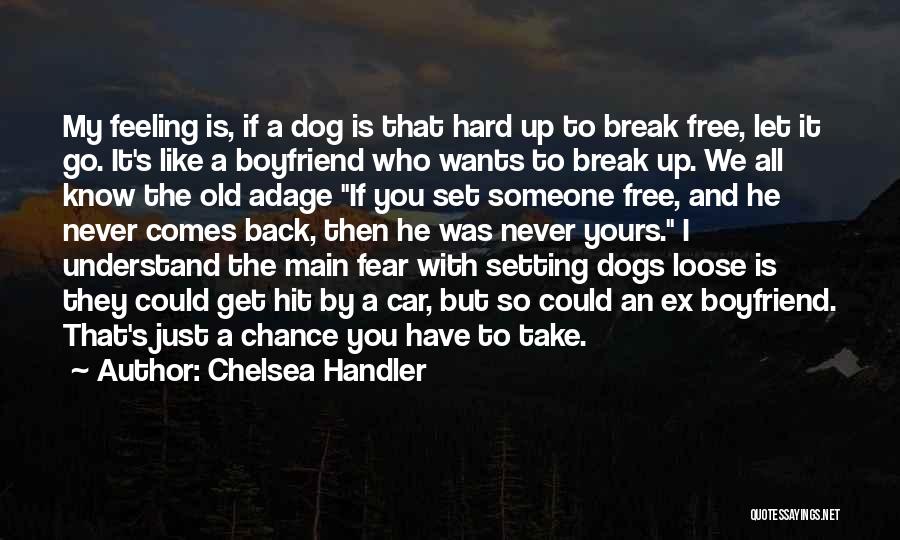 Chelsea Handler Quotes: My Feeling Is, If A Dog Is That Hard Up To Break Free, Let It Go. It's Like A Boyfriend