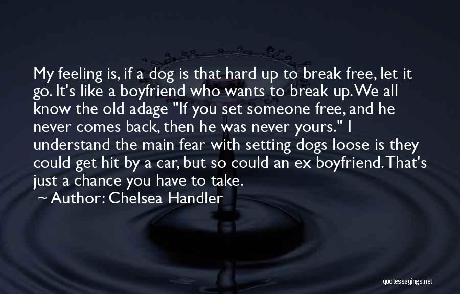 Chelsea Handler Quotes: My Feeling Is, If A Dog Is That Hard Up To Break Free, Let It Go. It's Like A Boyfriend