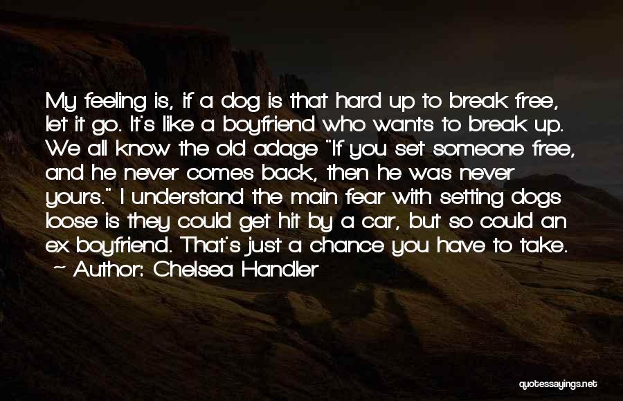 Chelsea Handler Quotes: My Feeling Is, If A Dog Is That Hard Up To Break Free, Let It Go. It's Like A Boyfriend