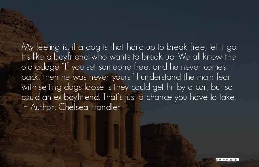 Chelsea Handler Quotes: My Feeling Is, If A Dog Is That Hard Up To Break Free, Let It Go. It's Like A Boyfriend