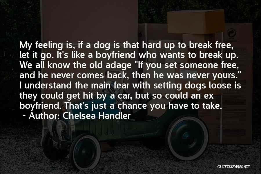 Chelsea Handler Quotes: My Feeling Is, If A Dog Is That Hard Up To Break Free, Let It Go. It's Like A Boyfriend