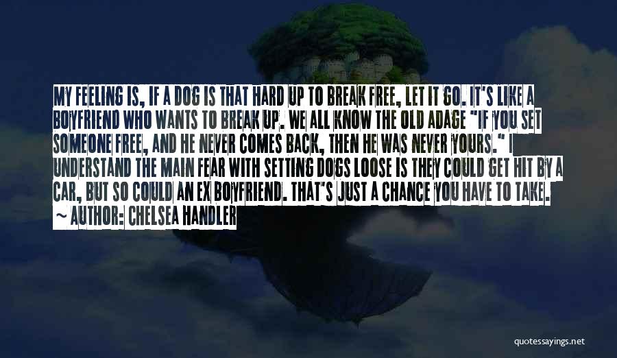 Chelsea Handler Quotes: My Feeling Is, If A Dog Is That Hard Up To Break Free, Let It Go. It's Like A Boyfriend