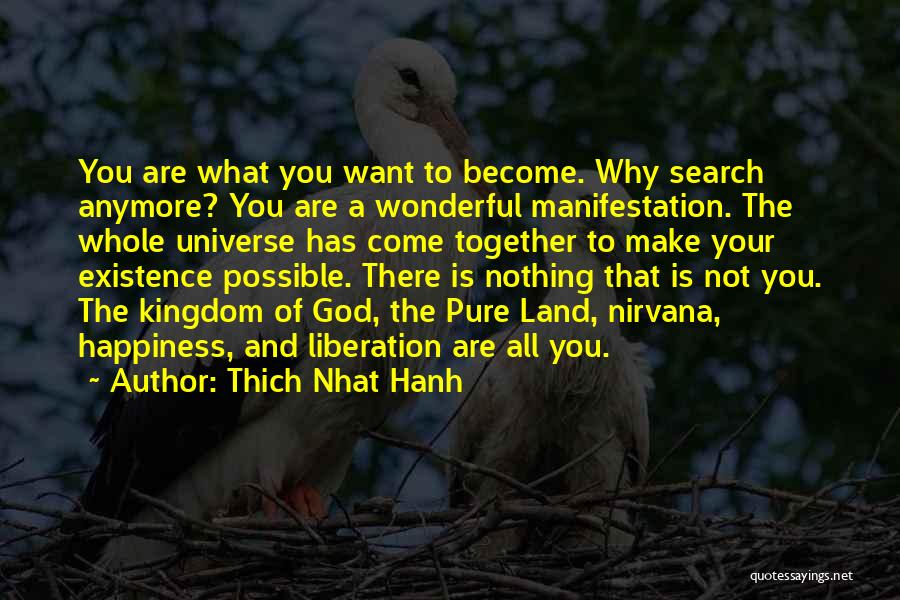 Thich Nhat Hanh Quotes: You Are What You Want To Become. Why Search Anymore? You Are A Wonderful Manifestation. The Whole Universe Has Come