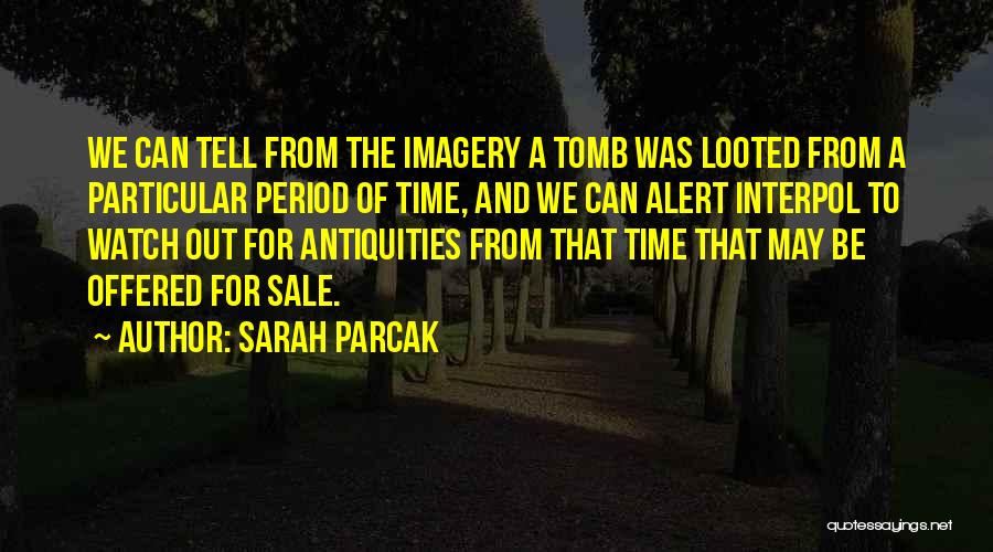 Sarah Parcak Quotes: We Can Tell From The Imagery A Tomb Was Looted From A Particular Period Of Time, And We Can Alert