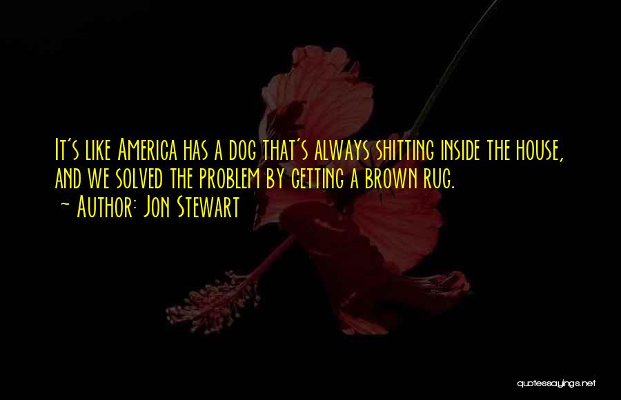 Jon Stewart Quotes: It's Like America Has A Dog That's Always Shitting Inside The House, And We Solved The Problem By Getting A