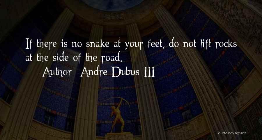 Andre Dubus III Quotes: If There Is No Snake At Your Feet, Do Not Lift Rocks At The Side Of The Road.