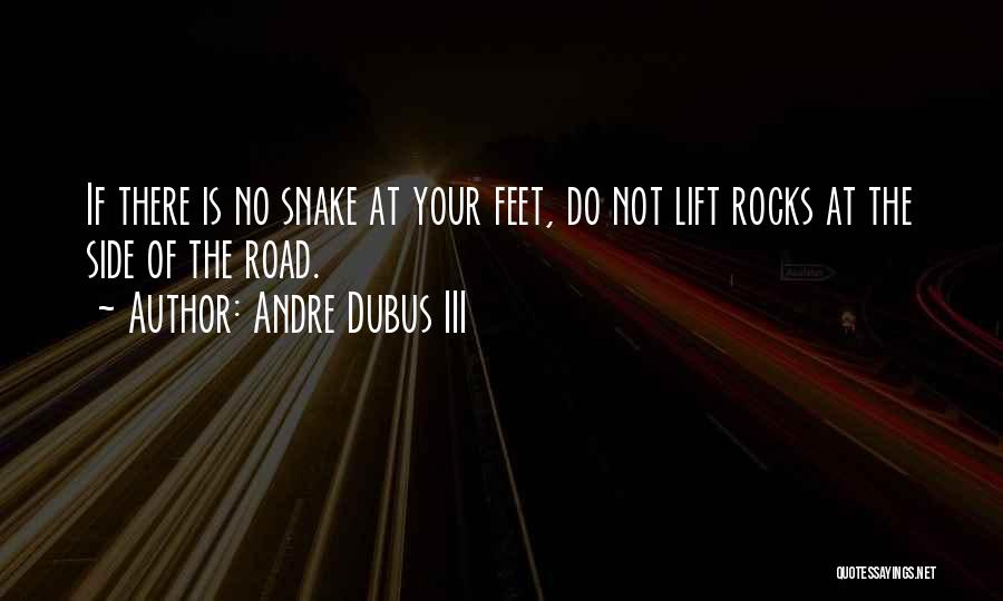 Andre Dubus III Quotes: If There Is No Snake At Your Feet, Do Not Lift Rocks At The Side Of The Road.
