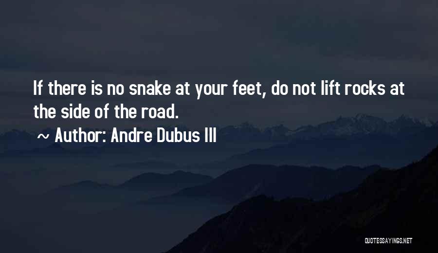 Andre Dubus III Quotes: If There Is No Snake At Your Feet, Do Not Lift Rocks At The Side Of The Road.