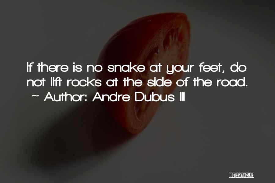 Andre Dubus III Quotes: If There Is No Snake At Your Feet, Do Not Lift Rocks At The Side Of The Road.