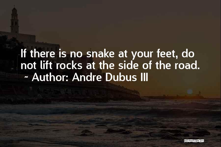 Andre Dubus III Quotes: If There Is No Snake At Your Feet, Do Not Lift Rocks At The Side Of The Road.