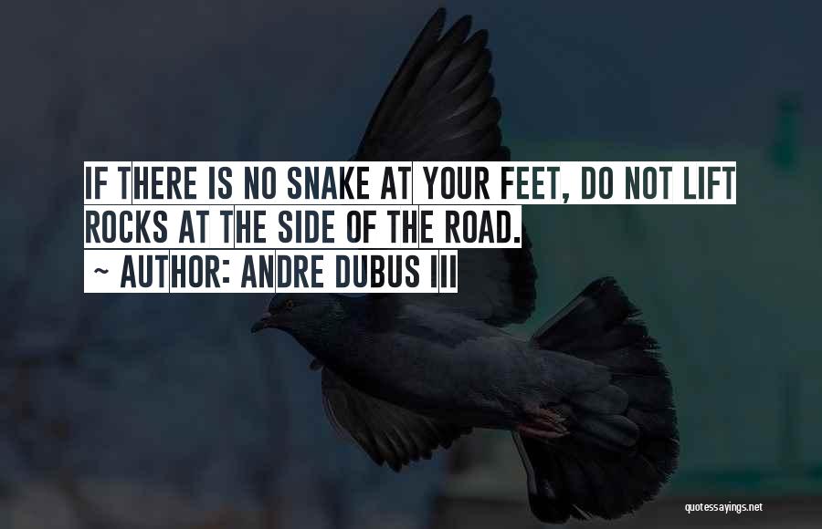 Andre Dubus III Quotes: If There Is No Snake At Your Feet, Do Not Lift Rocks At The Side Of The Road.