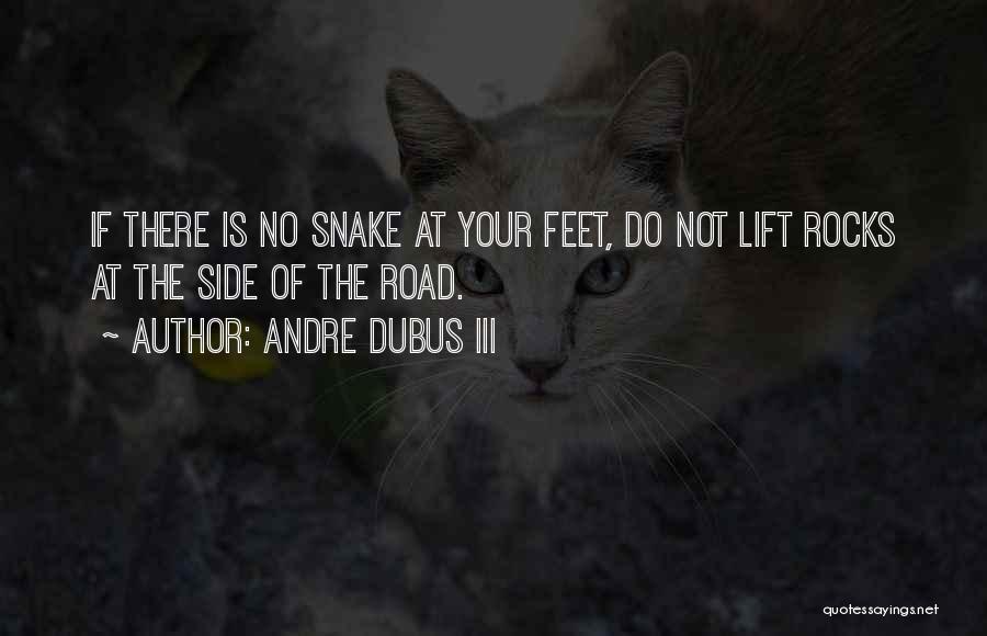 Andre Dubus III Quotes: If There Is No Snake At Your Feet, Do Not Lift Rocks At The Side Of The Road.