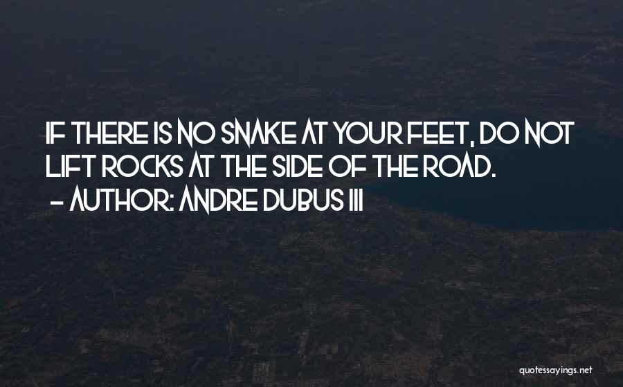 Andre Dubus III Quotes: If There Is No Snake At Your Feet, Do Not Lift Rocks At The Side Of The Road.