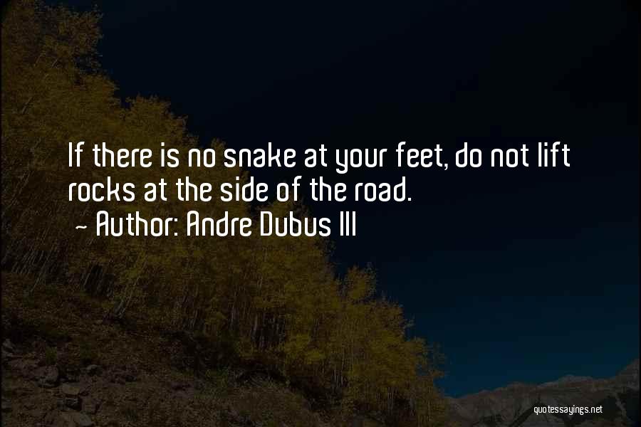 Andre Dubus III Quotes: If There Is No Snake At Your Feet, Do Not Lift Rocks At The Side Of The Road.