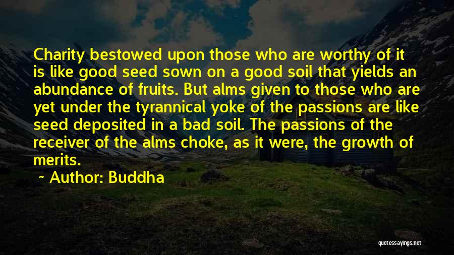 Buddha Quotes: Charity Bestowed Upon Those Who Are Worthy Of It Is Like Good Seed Sown On A Good Soil That Yields