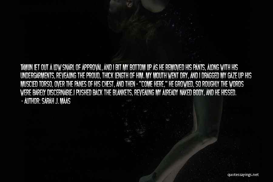 Sarah J. Maas Quotes: Tamlin Let Out A Low Snarl Of Approval, And I Bit My Bottom Lip As He Removed His Pants, Along