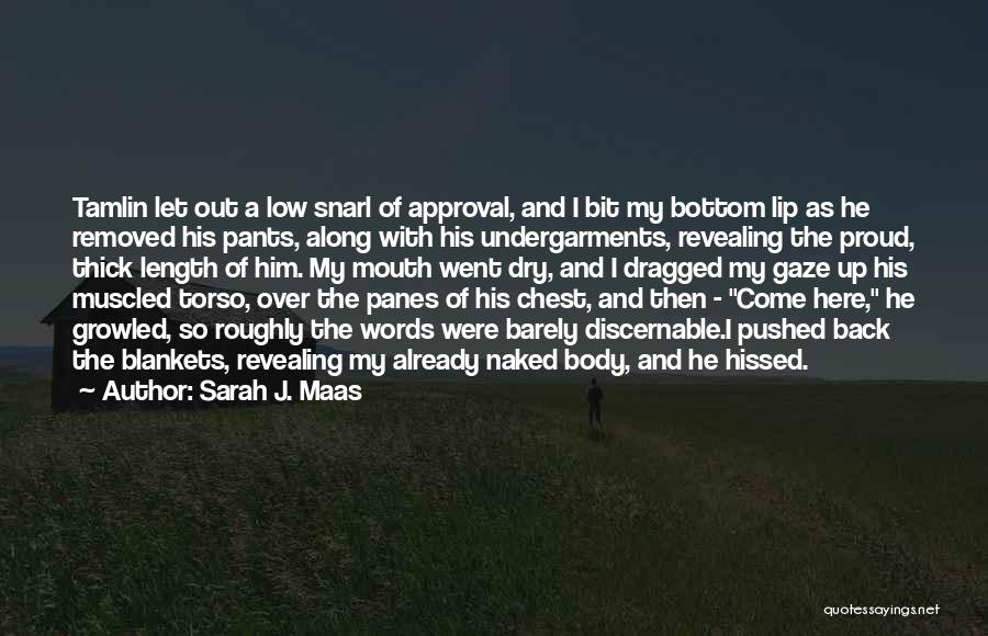 Sarah J. Maas Quotes: Tamlin Let Out A Low Snarl Of Approval, And I Bit My Bottom Lip As He Removed His Pants, Along