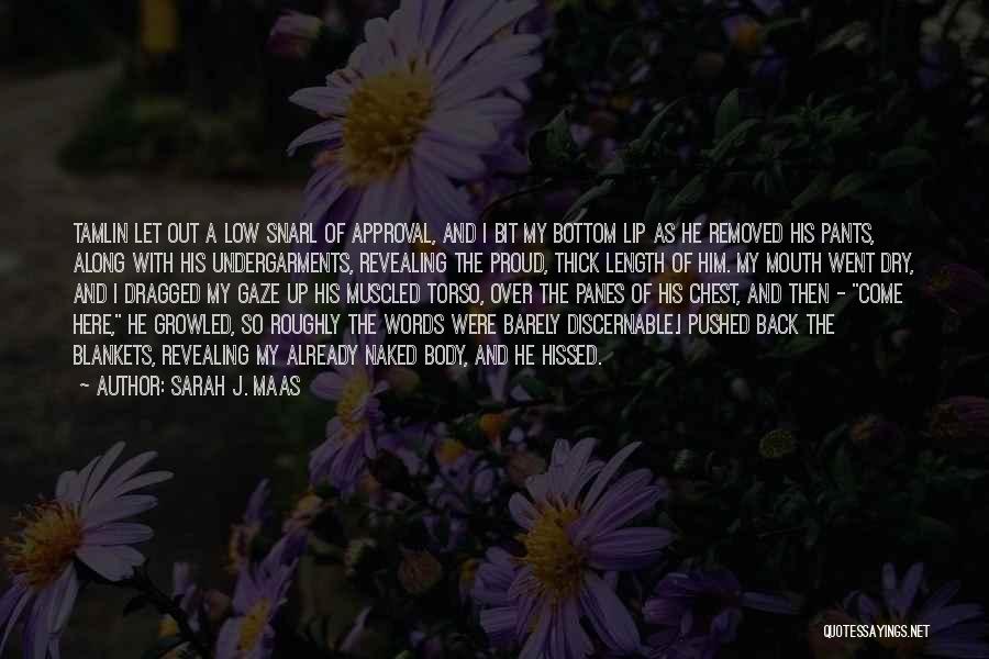 Sarah J. Maas Quotes: Tamlin Let Out A Low Snarl Of Approval, And I Bit My Bottom Lip As He Removed His Pants, Along