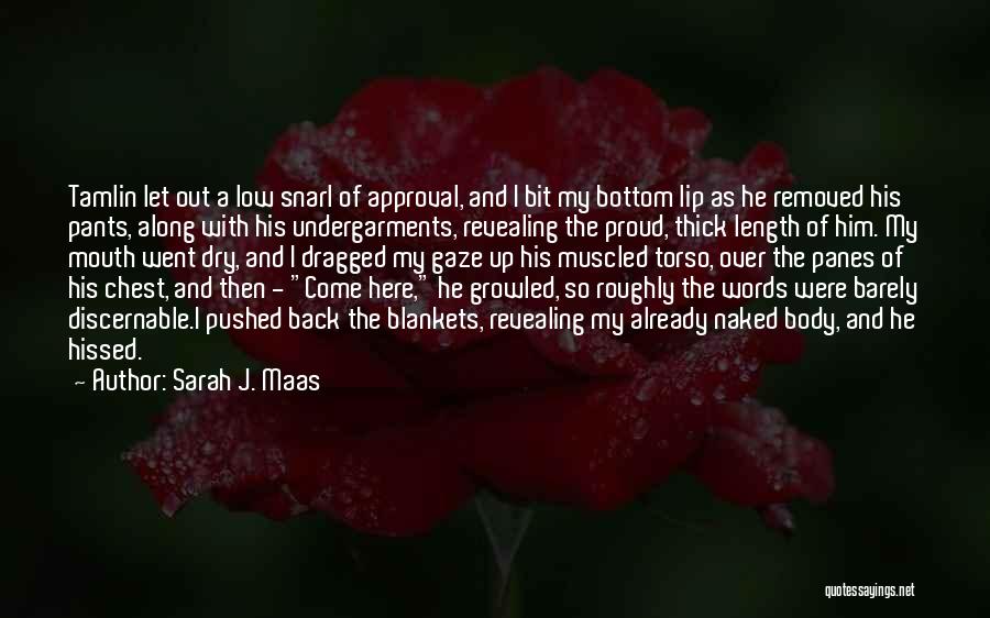 Sarah J. Maas Quotes: Tamlin Let Out A Low Snarl Of Approval, And I Bit My Bottom Lip As He Removed His Pants, Along