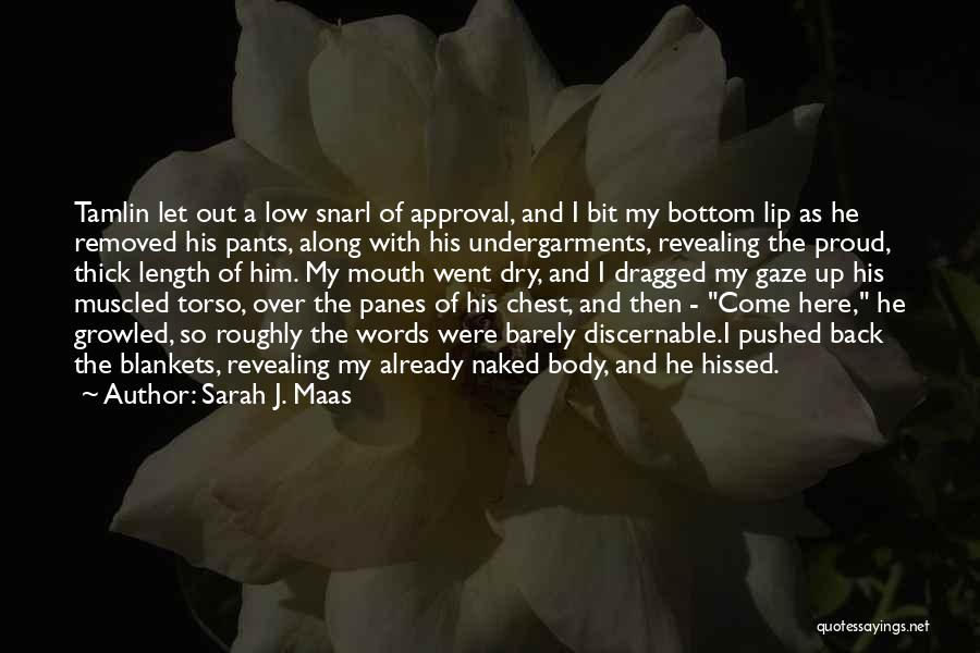 Sarah J. Maas Quotes: Tamlin Let Out A Low Snarl Of Approval, And I Bit My Bottom Lip As He Removed His Pants, Along