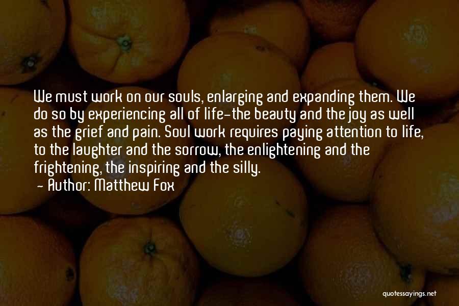 Matthew Fox Quotes: We Must Work On Our Souls, Enlarging And Expanding Them. We Do So By Experiencing All Of Life-the Beauty And