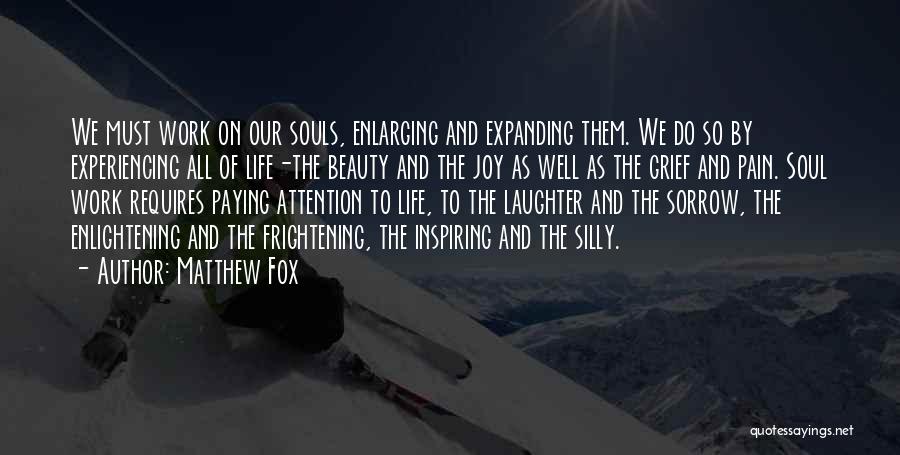 Matthew Fox Quotes: We Must Work On Our Souls, Enlarging And Expanding Them. We Do So By Experiencing All Of Life-the Beauty And