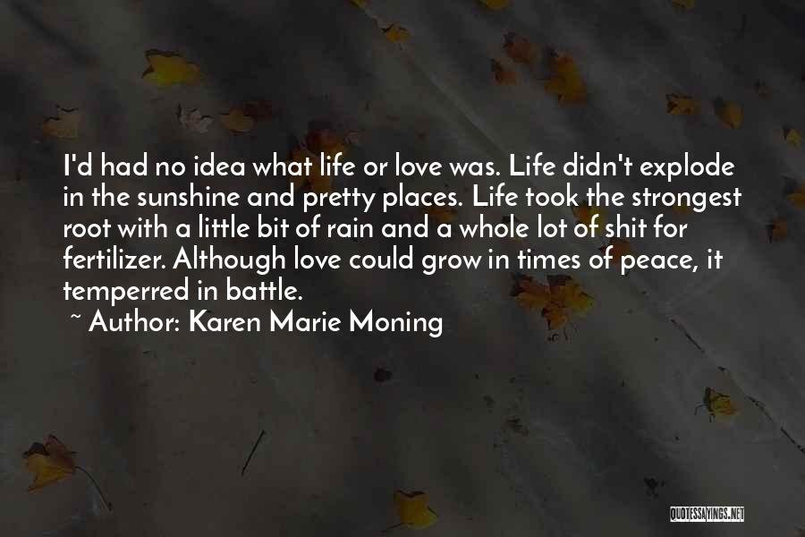 Karen Marie Moning Quotes: I'd Had No Idea What Life Or Love Was. Life Didn't Explode In The Sunshine And Pretty Places. Life Took