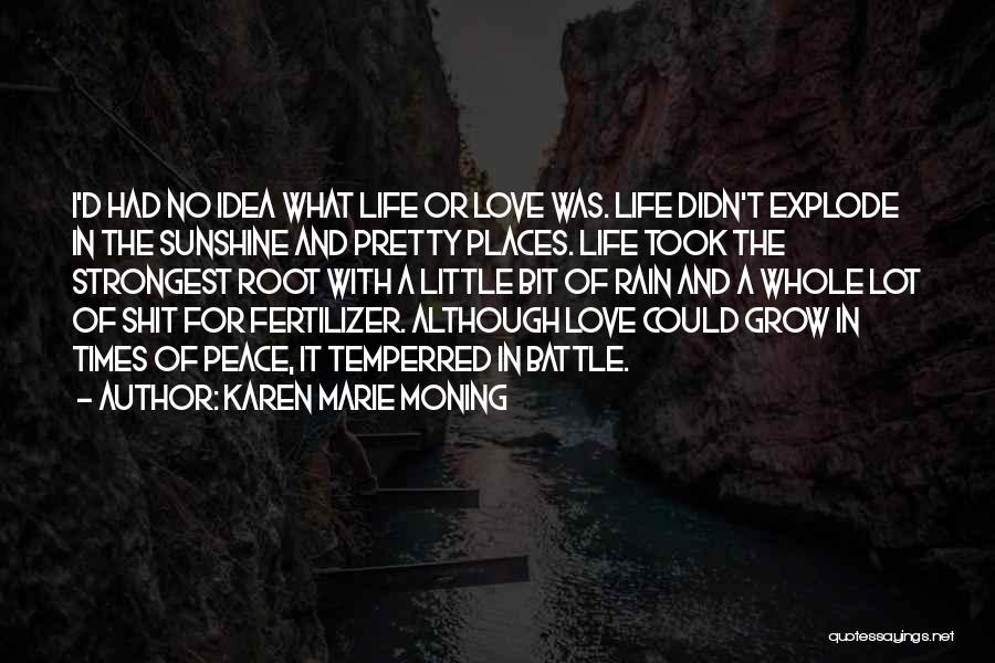 Karen Marie Moning Quotes: I'd Had No Idea What Life Or Love Was. Life Didn't Explode In The Sunshine And Pretty Places. Life Took
