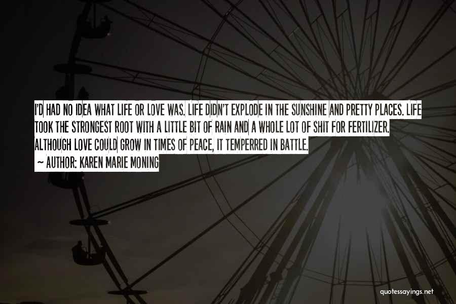 Karen Marie Moning Quotes: I'd Had No Idea What Life Or Love Was. Life Didn't Explode In The Sunshine And Pretty Places. Life Took