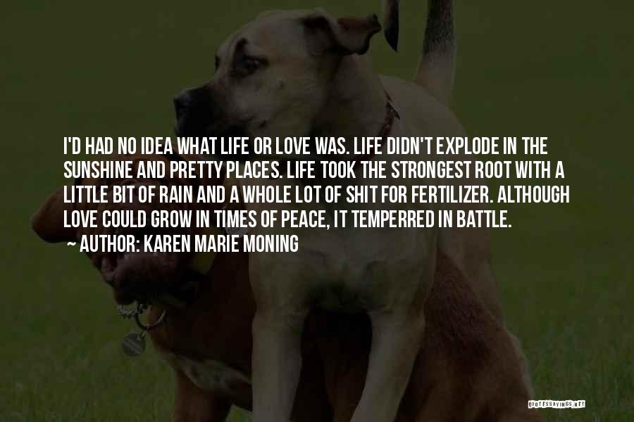 Karen Marie Moning Quotes: I'd Had No Idea What Life Or Love Was. Life Didn't Explode In The Sunshine And Pretty Places. Life Took
