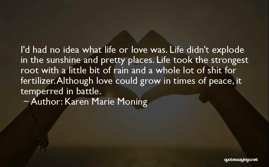 Karen Marie Moning Quotes: I'd Had No Idea What Life Or Love Was. Life Didn't Explode In The Sunshine And Pretty Places. Life Took
