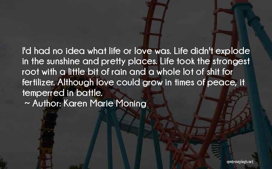 Karen Marie Moning Quotes: I'd Had No Idea What Life Or Love Was. Life Didn't Explode In The Sunshine And Pretty Places. Life Took