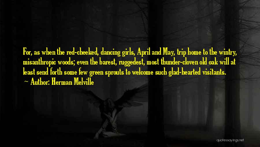 Herman Melville Quotes: For, As When The Red-cheeked, Dancing Girls, April And May, Trip Home To The Wintry, Misanthropic Woods; Even The Barest,