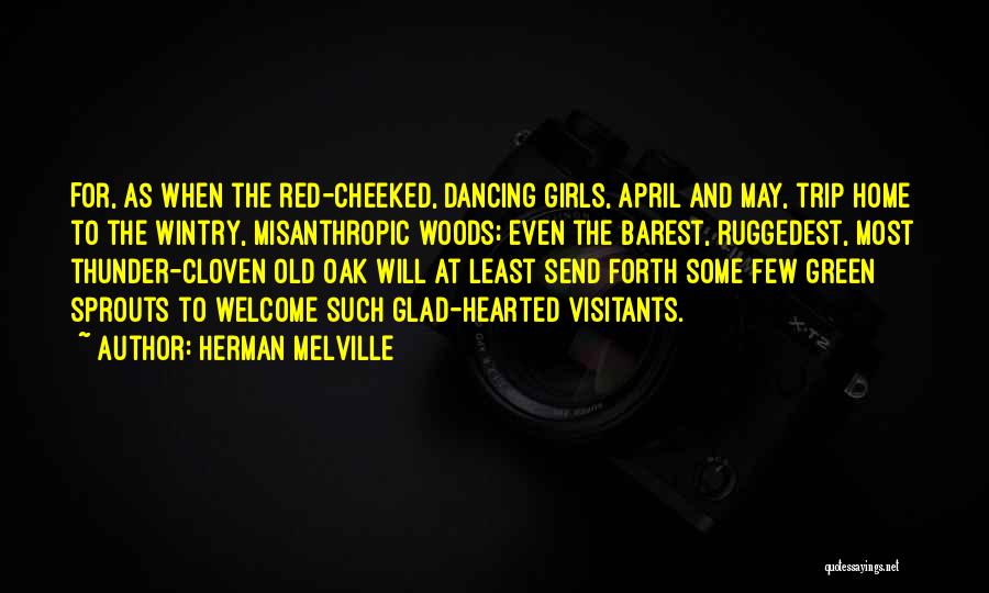 Herman Melville Quotes: For, As When The Red-cheeked, Dancing Girls, April And May, Trip Home To The Wintry, Misanthropic Woods; Even The Barest,
