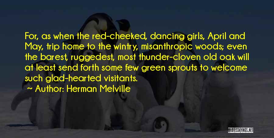 Herman Melville Quotes: For, As When The Red-cheeked, Dancing Girls, April And May, Trip Home To The Wintry, Misanthropic Woods; Even The Barest,