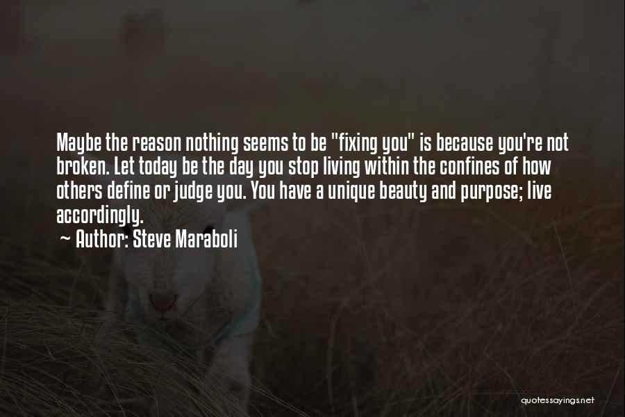 Steve Maraboli Quotes: Maybe The Reason Nothing Seems To Be Fixing You Is Because You're Not Broken. Let Today Be The Day You