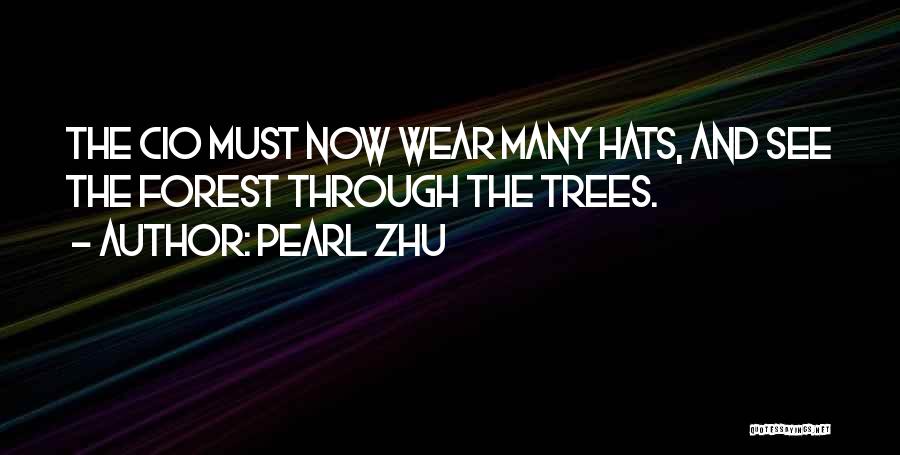 Pearl Zhu Quotes: The Cio Must Now Wear Many Hats, And See The Forest Through The Trees.