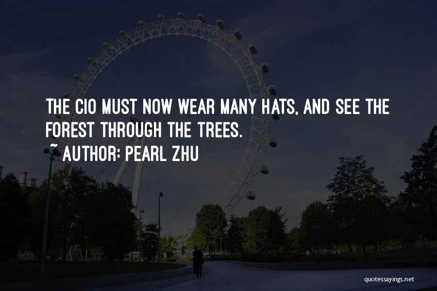 Pearl Zhu Quotes: The Cio Must Now Wear Many Hats, And See The Forest Through The Trees.
