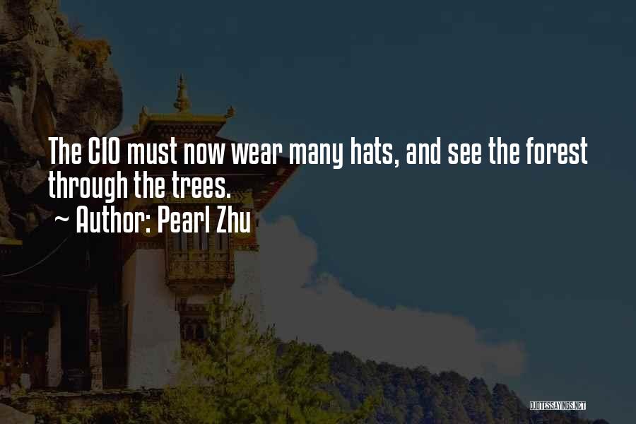 Pearl Zhu Quotes: The Cio Must Now Wear Many Hats, And See The Forest Through The Trees.