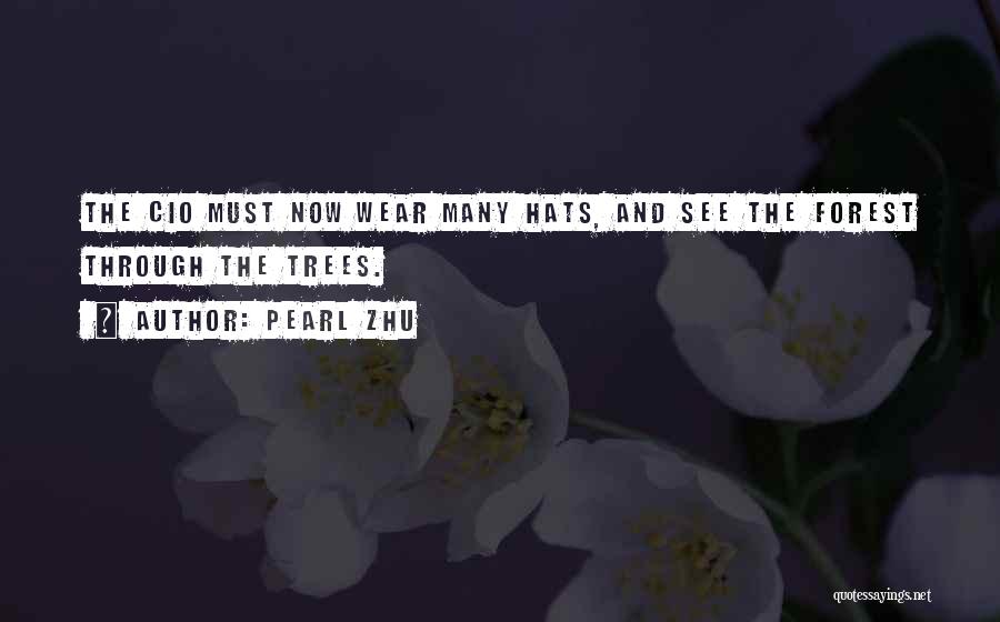 Pearl Zhu Quotes: The Cio Must Now Wear Many Hats, And See The Forest Through The Trees.