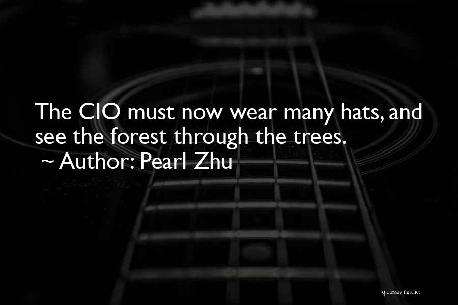 Pearl Zhu Quotes: The Cio Must Now Wear Many Hats, And See The Forest Through The Trees.