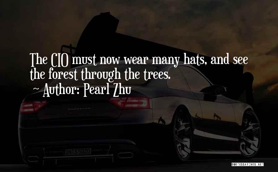 Pearl Zhu Quotes: The Cio Must Now Wear Many Hats, And See The Forest Through The Trees.
