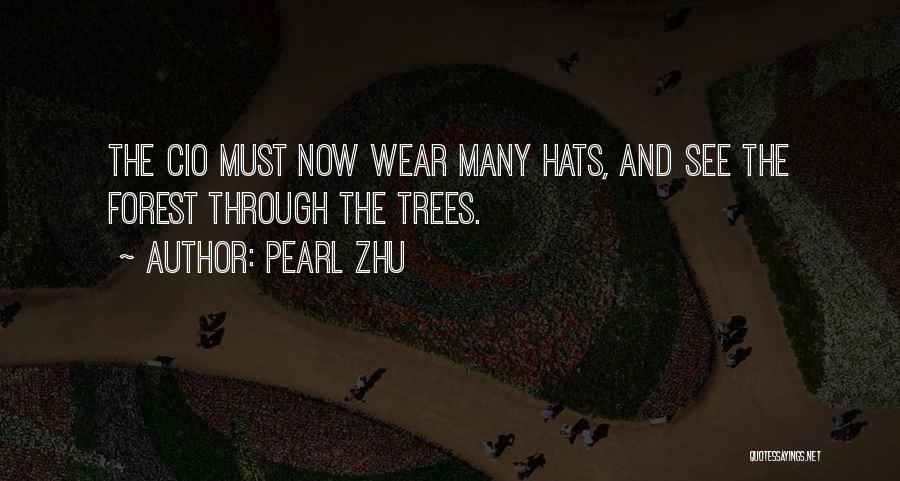 Pearl Zhu Quotes: The Cio Must Now Wear Many Hats, And See The Forest Through The Trees.